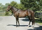Menifee, who won the 1999 Blue Grass Stakes, was among the prominent runners campaigned by James Stone.