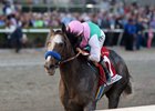 Arrogate rolls to victory in the Pegasus World Cup<br><a target="blank" href="http://photos.bloodhorse.com/AtTheRaces-1/-At-the-Races-2017/i-KNTZx94">Order This Photo</a>