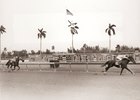 A Look Back at Swale's Easy Hutcheson Stakes Win A Look Back at Swale's Easy Hutcheson Stakes Win