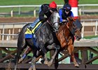 Arrogate Works For Pegasus World Cup Arrogate Works For Pegasus World Cup