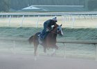 California Chrome worked five furlongs in :58 4/5 on Jan. 21
