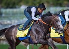 Arrogate Logs Final Pegasus Work Arrogate Logs Final Pegasus Work