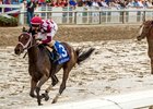 Farrell with Channing Hill aboard pulls away at the wire to capture the 25th running of the Silverbulletday Stakes at Fair Grounds.