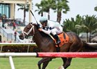 Made You Look wins the 2017 Dania Beach Stakes