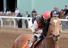 Brehm Acquires Mares to Send to Texas Red Brehm Acquires Mares to Send to Texas Red