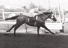 Quack, with Bill Shoemaker up, win the California Derby at Golden Gate on April 22, 1972.