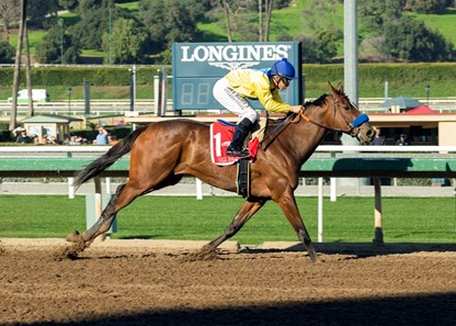 Vale Dori wins the 2017 La Canada Stakes