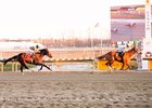 Nicamore wins a maiden claiming race at Laurel Park