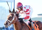 Unbridled Mo wins the 2017 Houston Ladies Classic (G3) at Sam Houston