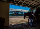 A barn on the Fair Grounds Race Course & Slots backstretch
