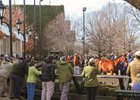 Fasig-Tipton Winter Mixed Sale