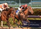 Hy Riverside wins the 2017 Sunshine Millions Classic