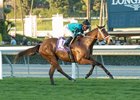 Stormy Atlantic Gets 100th Black-Type Winner Stormy Atlantic Gets 100th Black-Type Winner