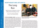 Northeast/Mid-Atlantic Regional: The Long Run Northeast/Mid-Atlantic Regional: The Long Run