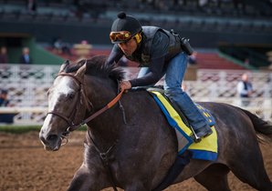Arrogate Sails Through Penultimate Work for Pegasus Cup Arrogate Sails Through Penultimate Work for Pegasus Cup