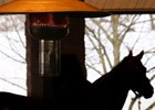 Keeneland January