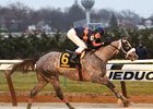 El Areeb Delivers Dominating Performance in Jerome El Areeb Delivers Dominating Performance in Jerome