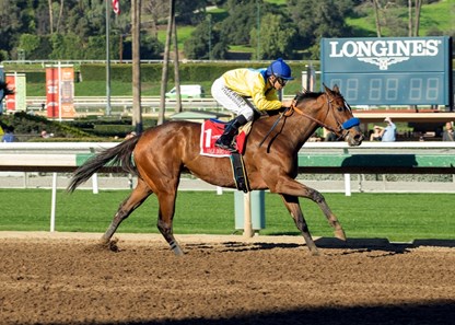 Vale Dori wins the 2017 La Canada Stakes
