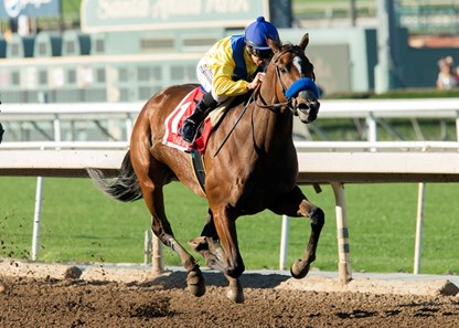 Vale Dori wins the 2017 La Canada Stakes