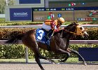 Curlin’s Approval Makes Grade in Hurricane Bertie Curlin’s Approval Makes Grade in Hurricane Bertie