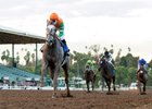Unique Bella Romps in Santa Ynez Unique Bella Romps in Santa Ynez