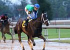 Uncontested Back at Oaklawn for Southwest Uncontested Back at Oaklawn for Southwest