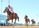 Unbridled Mo wins the 2017 Houston Ladies Classic (G3)
