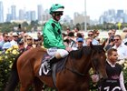 Oscietra finished third in the 2017 New Year Plate at Flemington Racecourse