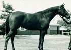 Look Back: Busher Beats the Boys in 1945 San Vicente Look Back: Busher Beats the Boys in 1945 San Vicente