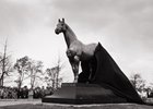 Today, Man o' War greets 100s of thousands of visitors to the Kentucky Horse Park.
