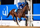 UAE 2000 Guineas winner Thunder Snow