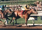 The Las Virgenes Success of Serena's Song The Las Virgenes Success of Serena's Song