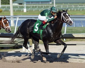 Pletcher Ready to Test Battalion Runner on Derby Trail