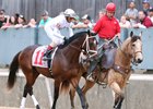 One Liner in the Southwest Stakes post parade prior to winning the grade 3 race
