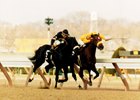 Look Back at Lure, Devil His Due Dead-Heating in Gotham Look Back at Lure, Devil His Due Dead-Heating in Gotham