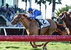Almanaar wins the 2017 Gulfstream Park Turf Handicap