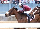 Jockey Alex Birzer Reaches 3,000 Wins Jockey Alex Birzer Reaches 3,000 Wins