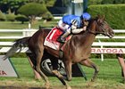 I Spent It, a stallion prospect, has been added to the catalog for the Fasig-Tipton November sale<br><a target="blank" href="http://photos.bloodhorse.com/AtTheRaces-1/At-the-Races-2014/i-7t56PHR">Order This Photo</a>