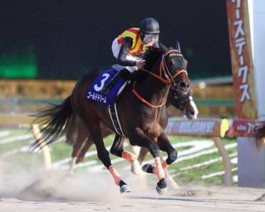 Gold Dream (JPN) wins the 2017 February Stakes (JPN-I) at Tokyo Racecourse