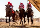 Honorable Duty (left) gets the victory in the Mineshaft over International Star (center) and Dazzling Gem