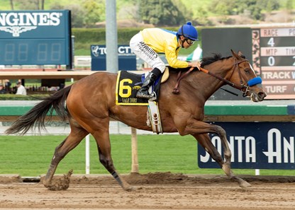 Vale Dori and jockey Mike Smith win the Grade II, $200,000 Santa Maria Stakes, Saturday, February 11, 2017 at Santa Anita Park, Arcadia CA.