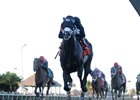 Sharp Azteca wins the Hardacre Mile Gulfstream Park Handicap