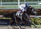 Third Day wins the Just One More Stakes