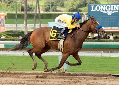 Vale Dori and jockey Mike Smith win the Grade II, $200,000 Santa Maria Stakes, Saturday, February 11, 2017 at Santa Anita Park, Arcadia CA.