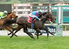 Bolo Repeats in Arcadia Stakes Bolo Repeats in Arcadia Stakes