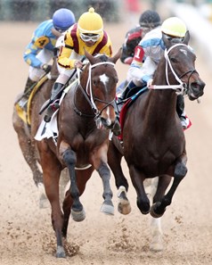 Terra Promessa wins the 2017 Bayakoa Stakes