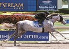 Tapit Colt Tops F-T Sale at $1.8 Million Tapit Colt Tops F-T Sale at $1.8 Million