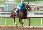 St. Joe Bay comes home strong in the Palos Verdes