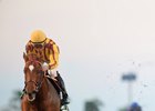 Irish War Cry will look to impress again at Gulfstream Park in the Fountain of Youth