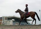 Woodbine Releases 2017 Stakes Schedule Woodbine Releases 2017 Stakes Schedule